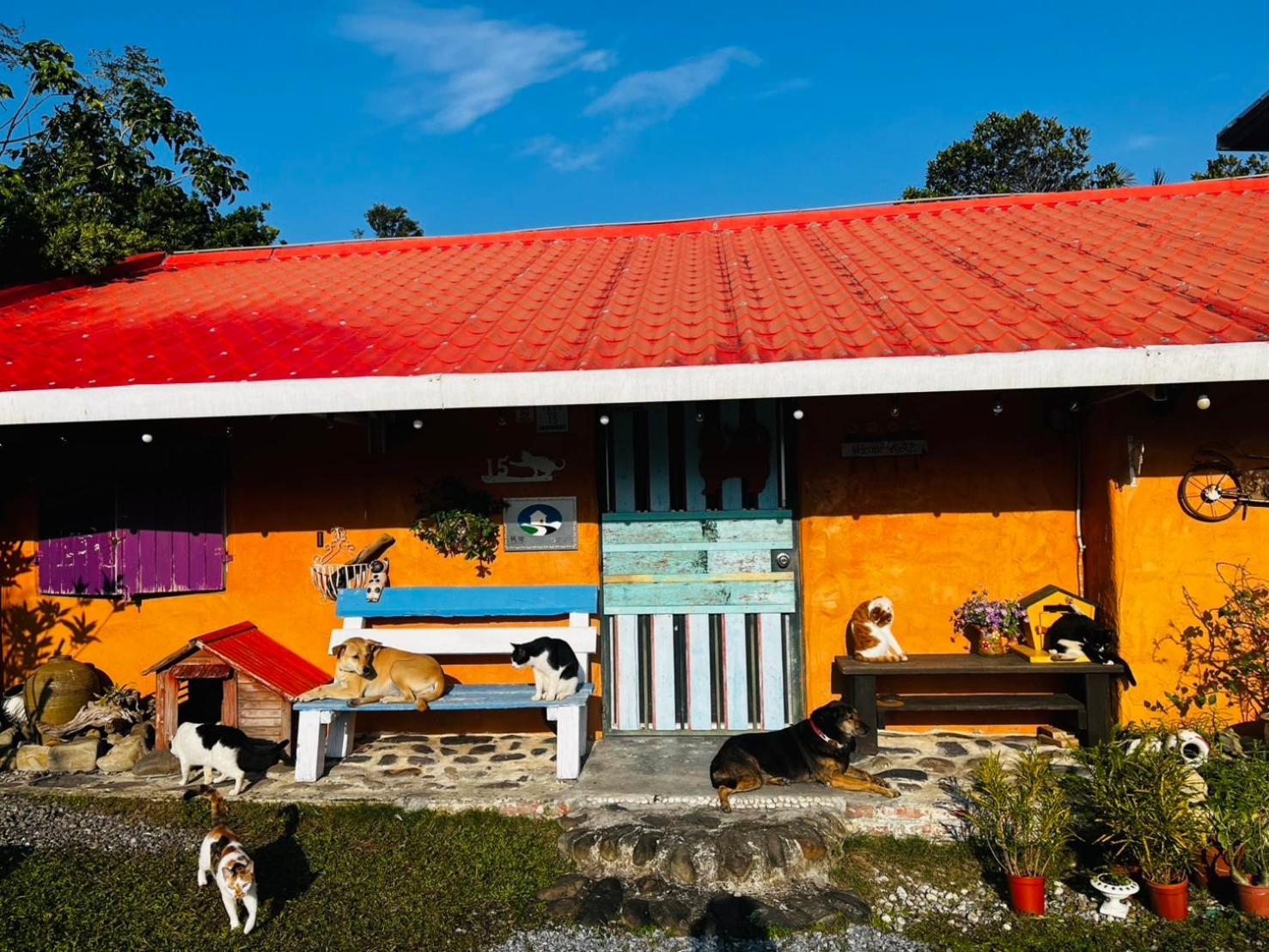 Cat Sky Country Homestay Sanxing Eksteriør billede