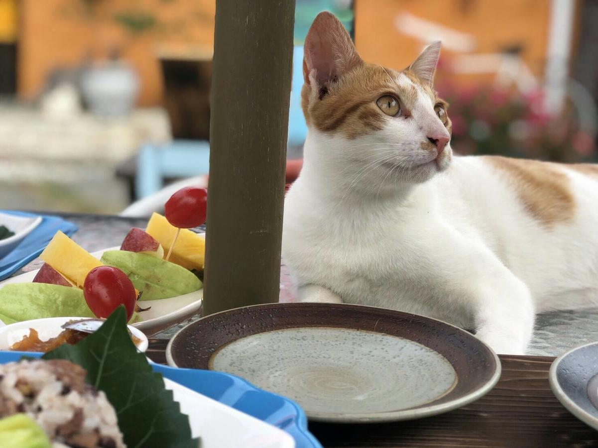 Cat Sky Country Homestay Sanxing Eksteriør billede